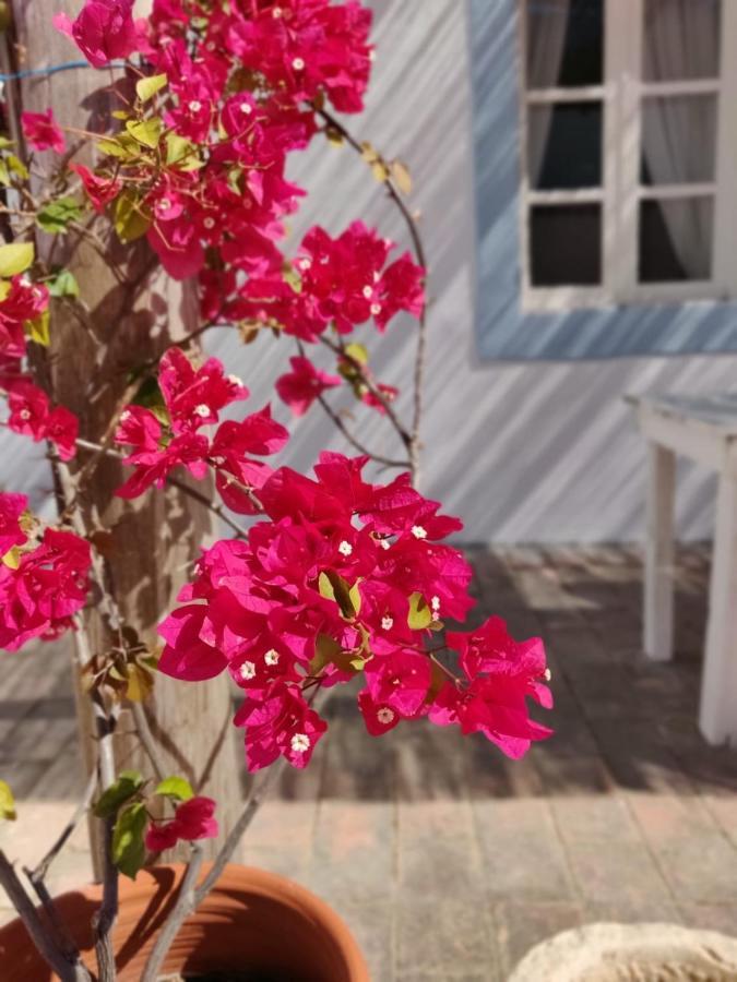 Casa Largo Do Poco Guesthouse Alvor Exterior foto